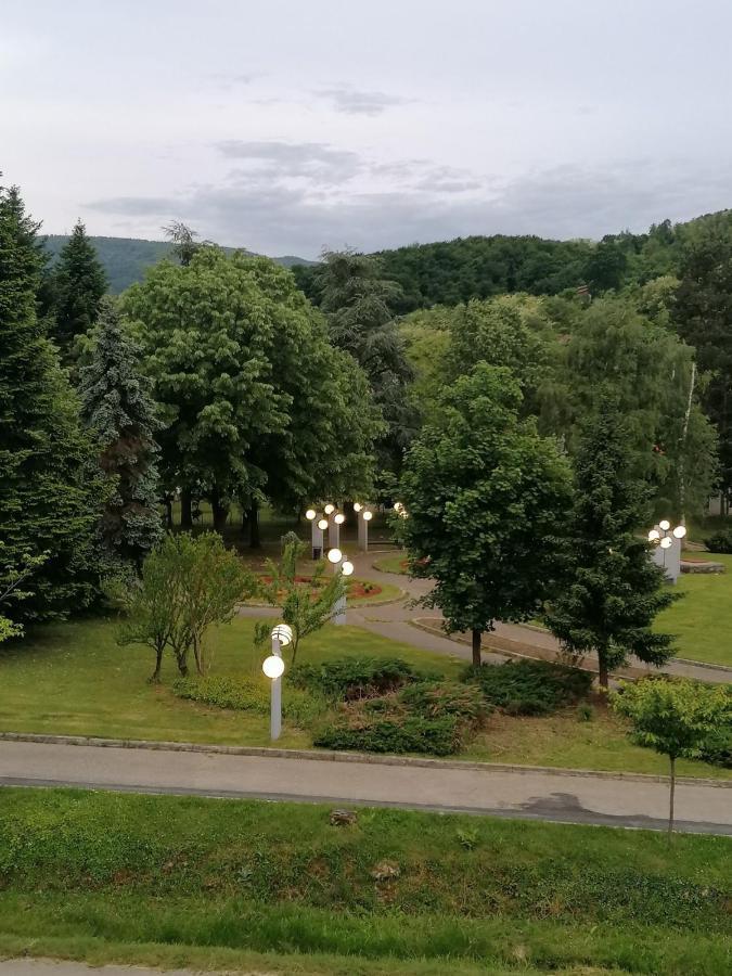 Koko Apartman Vrnjacka Banja Exterior photo
